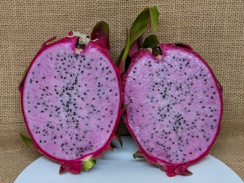 Blush dragon fruit picture